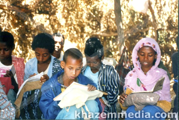 school under tree